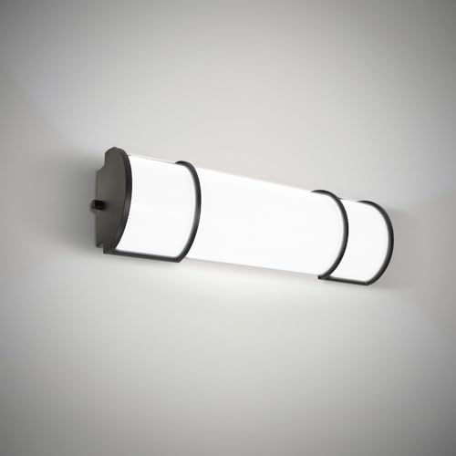 LED 18" Vanity Flush Mount Light Fixture