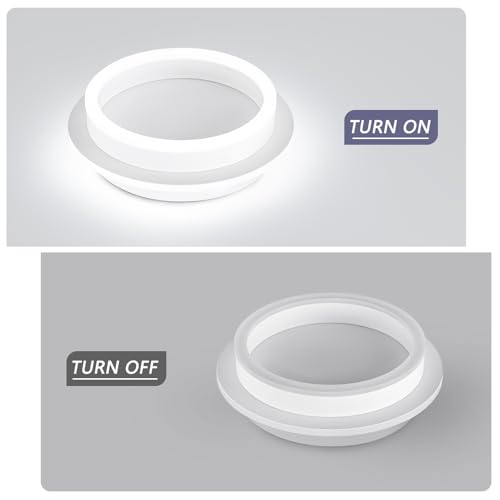 Round Modern Led Ceiling Light Fixture