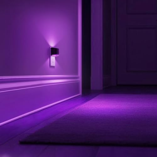 Night Lights Plug into Wall (2 Count)