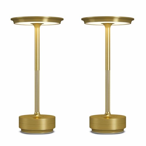 2 Pack Cordless Table Lamps Rechargeable (2 Count)