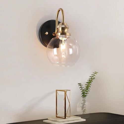 1 Pack Glass Shades Globes (2 Count)
