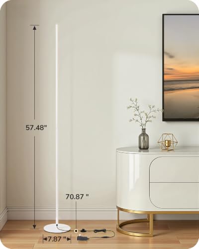 2 Pack 57.5” Floor Lamps with Remote (2 Count)