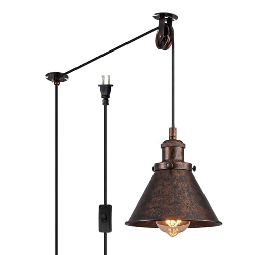 Plug in Pendant Light