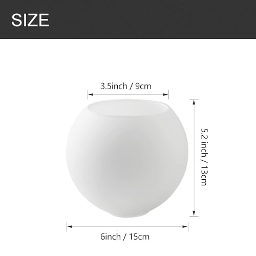 3 Pack Fixture Replacement Globe Shade (3 Count)