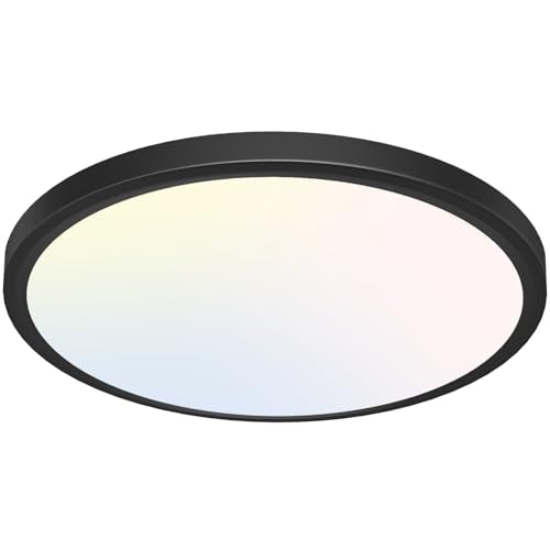 12 inch Flush Mount LED Ceiling Light Fixture