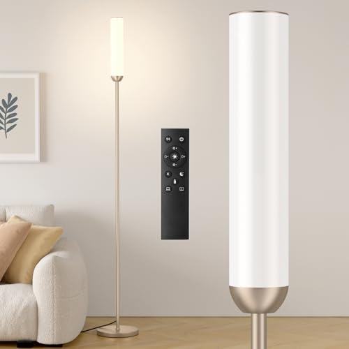 LED Floor Lamp with Remote Control