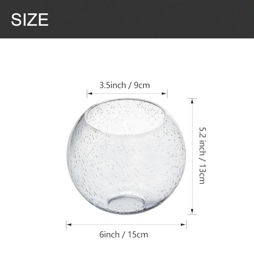 3 Pack Fixture Replacement Globe Shade (3 Count)
