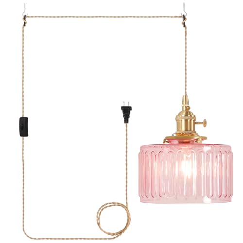 Plug in Pendant Light Hanging Light Fixtures with Plugin Cord On