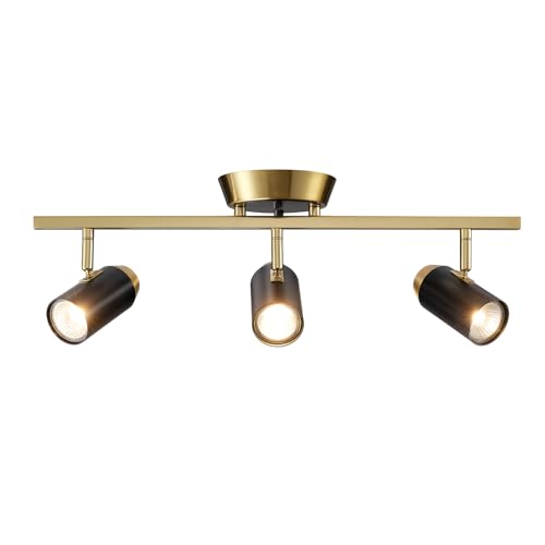 Pratt Track Lighting