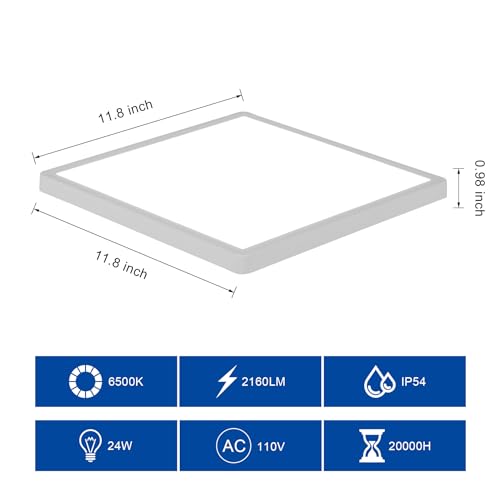2 Pack 12 inch Flush Mount Ceiling Light (2 Count)