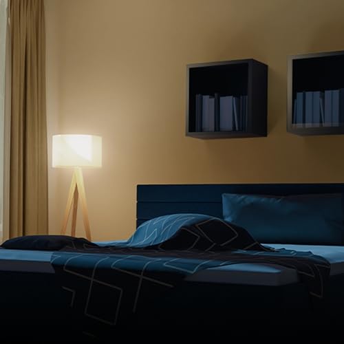 Enhance A19 LED Light Bulb (2 Count)