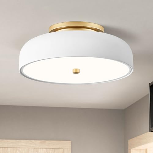 Dimmable LED Ceiling Light Fixture