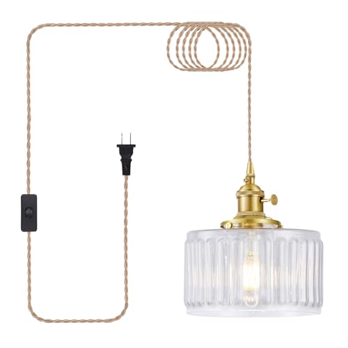 Plug in Pendant Light