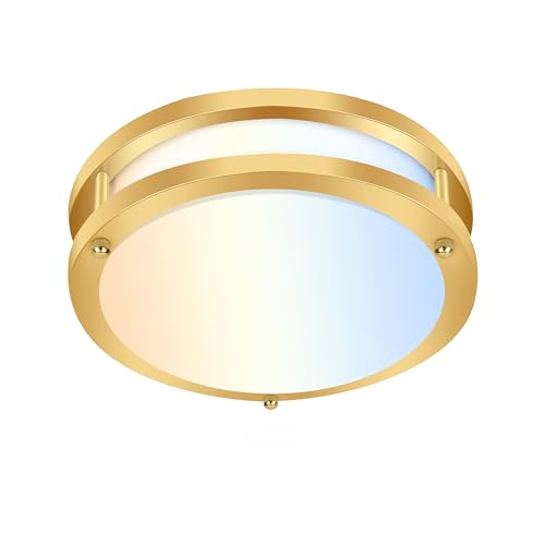 10 inch Flush Mount LED Ceiling Light Fixture