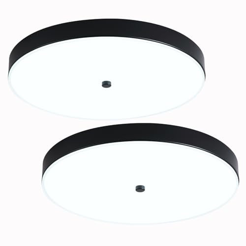 2 Pack Black Flush Mount Ceiling Light (2 Pack)