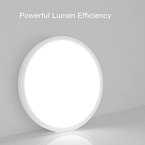 Dimmable Flush Mount Ceiling Light