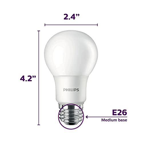 LED Basic Frosted Non (4 Count)