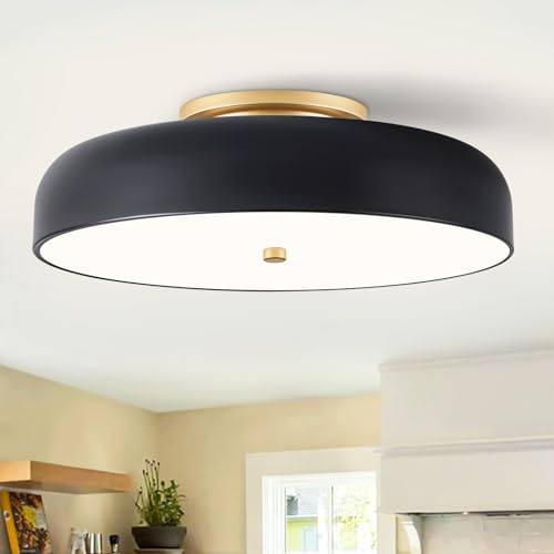 Dimmable LED Ceiling Light Fixture