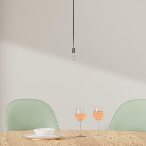 Industiral Pendant Light Fixture with Pull Chain