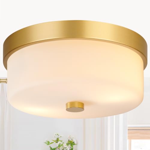 Flush Mount Ceiling Light Fixtures