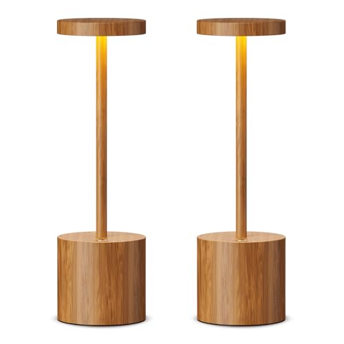 Cordless Table Lamp Rechargeable (2 Count)