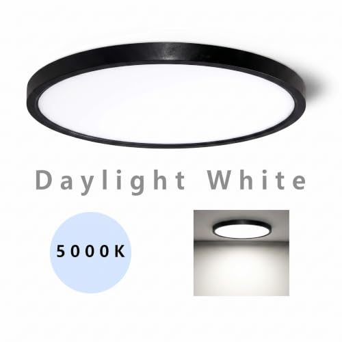 Flush Mount Ceiling Light Fixture