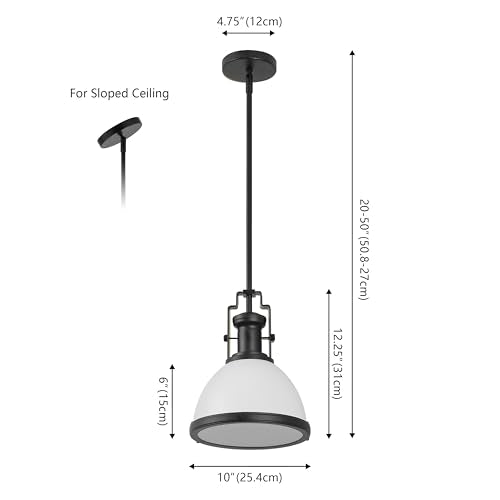 Homer Industrial Dome Pendant 10"