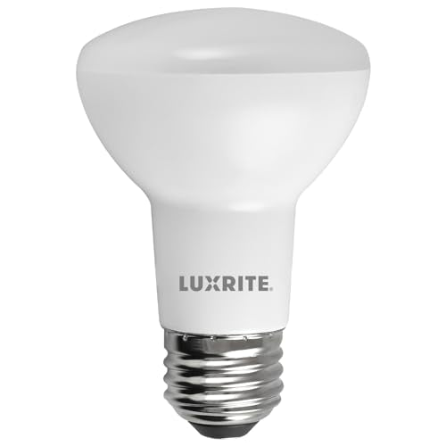 BR20 LED Light Bulb