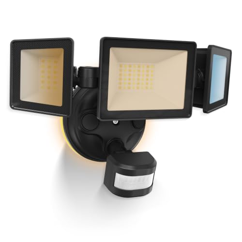 Motion Sensor Outdoor Lights