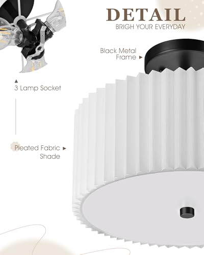 Semi Flush Mount Ceiling Light