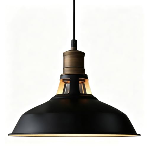 Farmhouse Barn Pendant Light Black 1