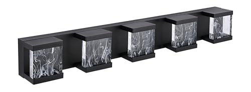 5 Lights Black LED Vanity Lighting with Unique Smoke Acrylic Panel