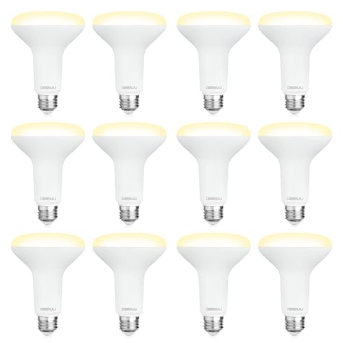 12 Pack BR30 LED Recessed Light Bulb (12 Count)