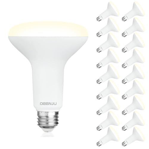 18 Pack BR30 LED Recessed Light Bulb (18 Count)