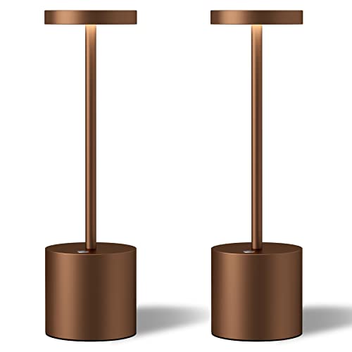 LED Cordless Table Lamps Set of 2