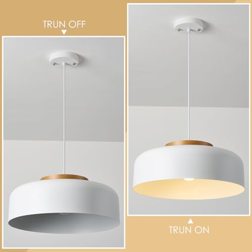 Pendant Lighting