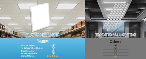2x2 LED Flat Panel Light 2 (2x2 2Pack)