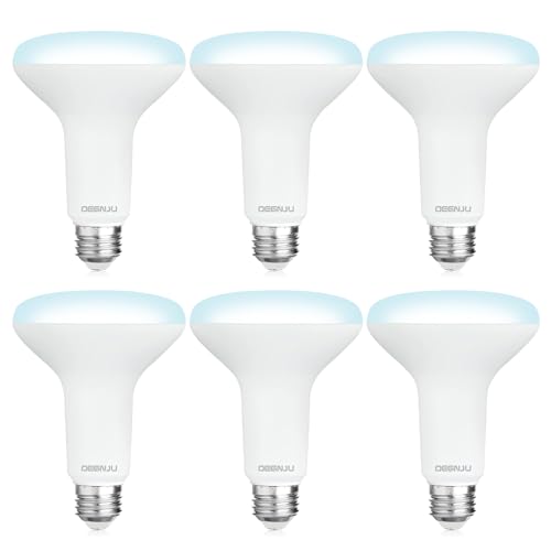 6 Pack BR30 LED Recessed Light Bulb (6 Count)
