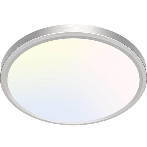 LED Ceiling Light Brushed Nickel