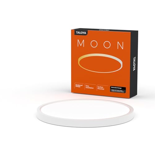 Flush Mount Ceiling Light