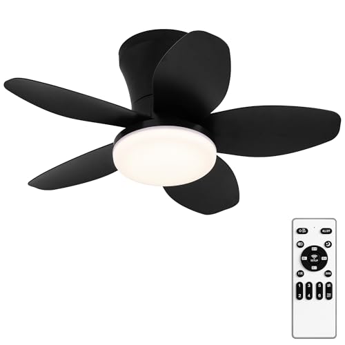 25 Inch Small Ceiling Fans with Lights (Black)