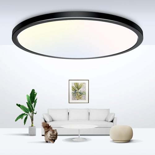 Black Ceiling Light 9 Inch