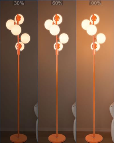 64IN Dimmable Orange Floor Lamp (5 Count)