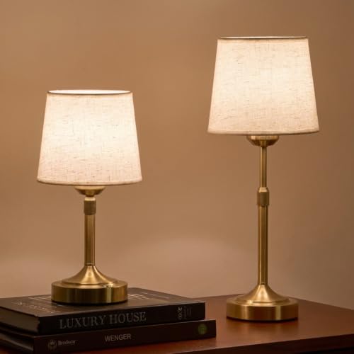 2 Pack Rechargeable Cordless Table Lamp (2 Count)