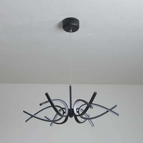 Modern LED Ceiling Light Fixture