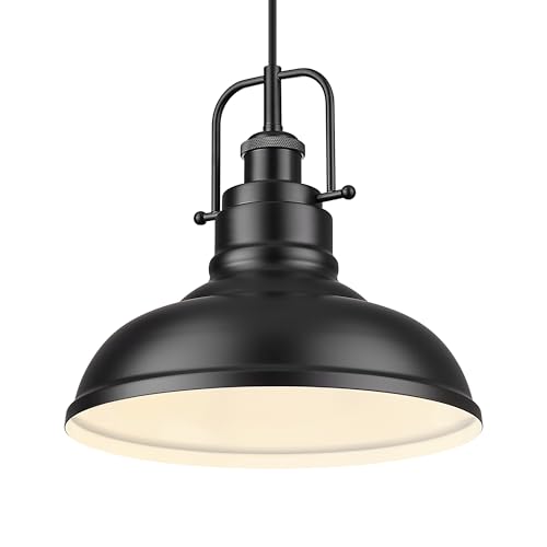 1 Light Industrial Pendant Light