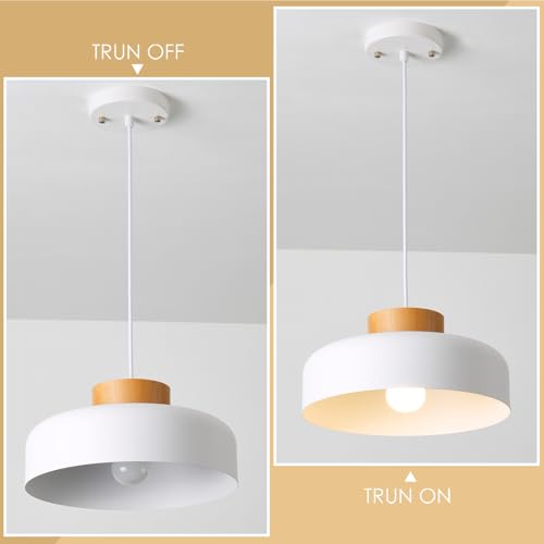 Modern Pendant Light