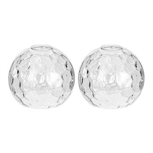 2 Pack Clear Hammered Glass Shade Replacements (2 Count)