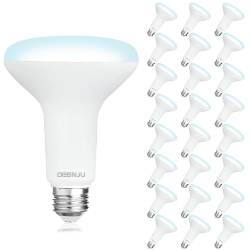 24 Pack Indoor Flood Light Bulbs (24 Count)