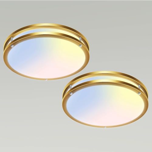 10Inch Flush Mount Ceiling Lights (2 Count)
